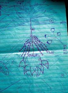 Liping_Claudia